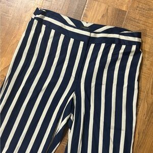 Ann Taylor Dress Pants